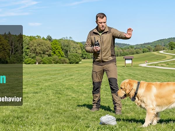 dog training collar with remote