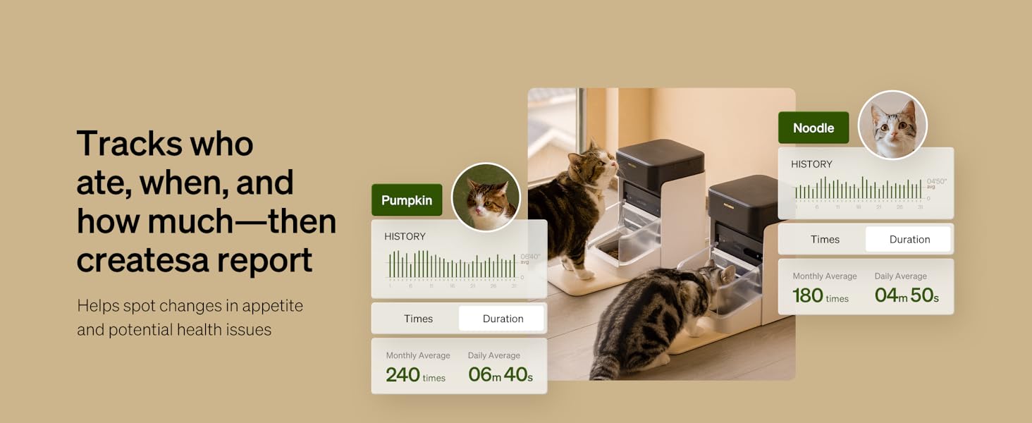 automatic cat feeder