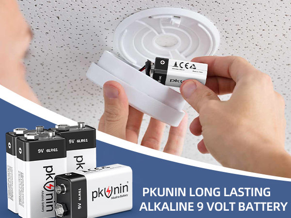 9V Batteries
