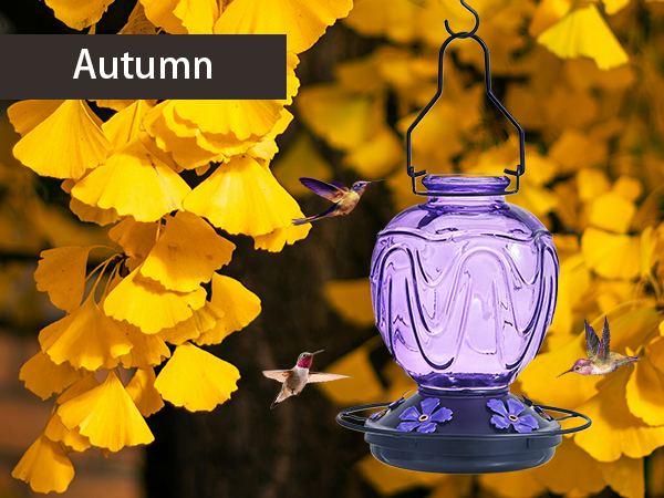 Glass Hummingbird Feeder