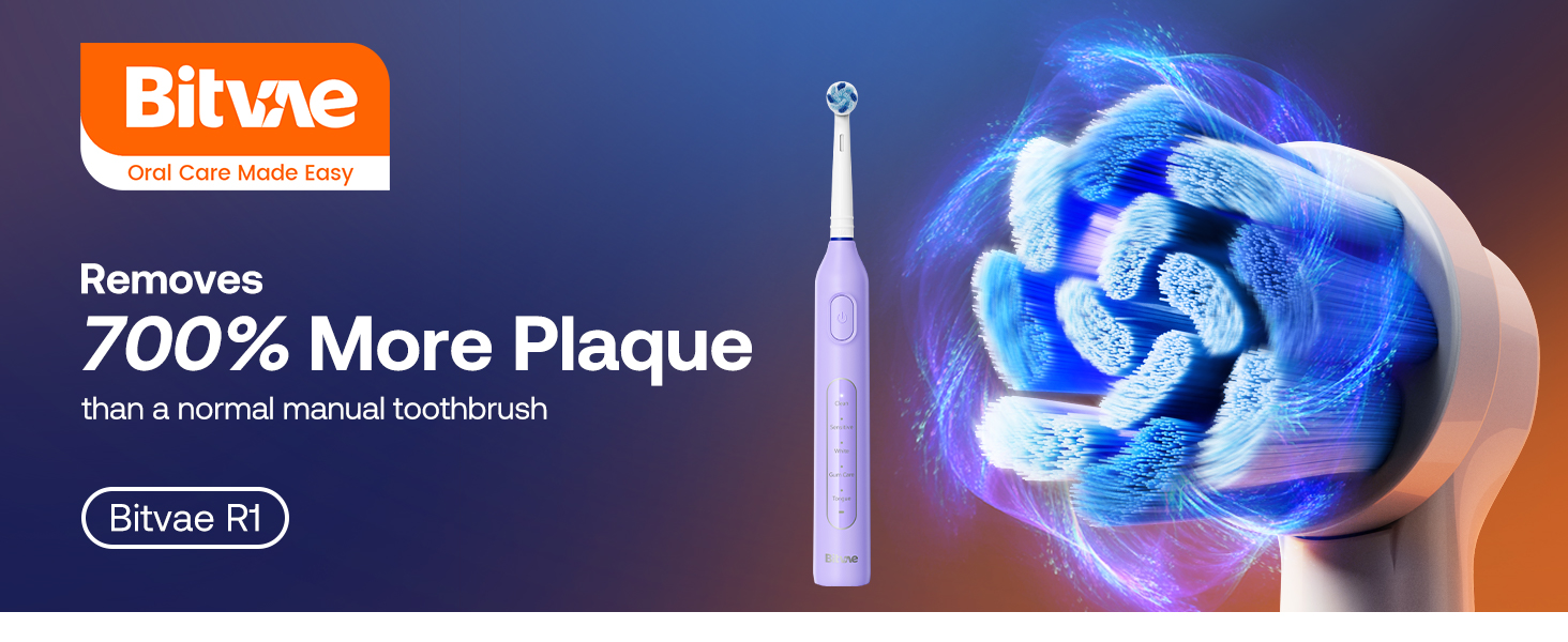 Electric toothbrush