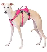 Huntboo Escape Proof Dog Harness, Escape Artist Harness, Reflective Dog Harness with Handle, Dura...