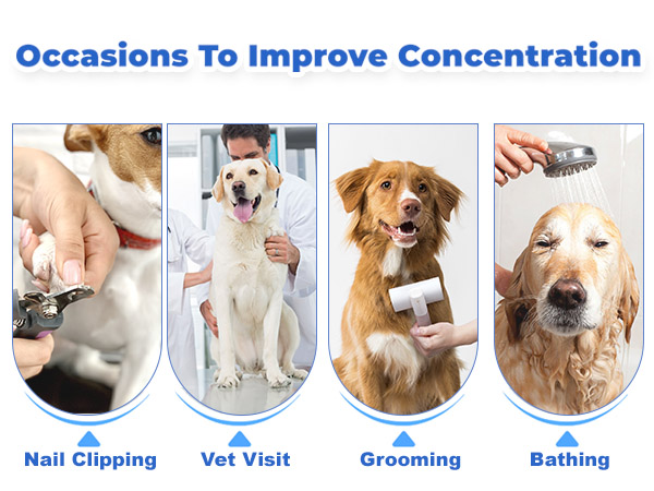 Dog Lick Mat with Suction Cup