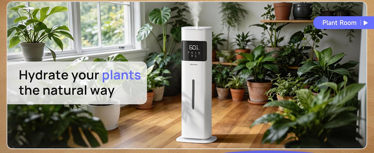 humidifier for plants