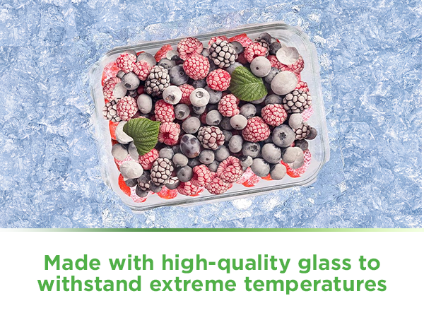 Glass container inside the freezer