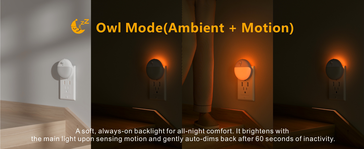 owl night light