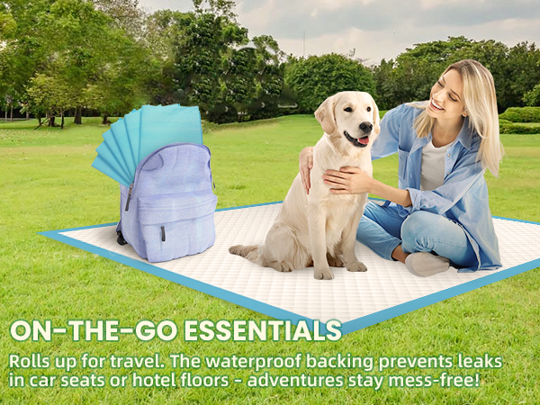 dog pads 100 pack