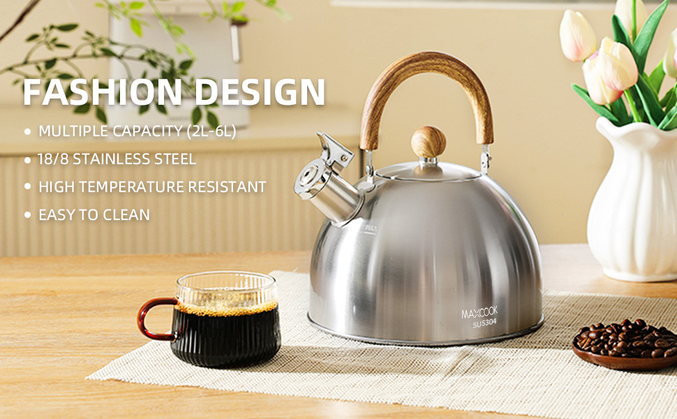 tea kettle for stove top