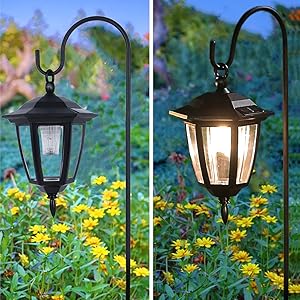 hanging lights