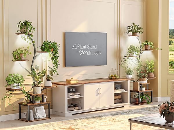 PLANT RACK