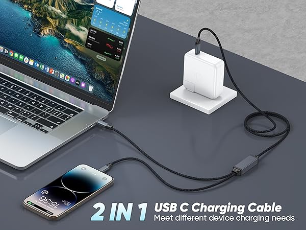 dual usb c cable
