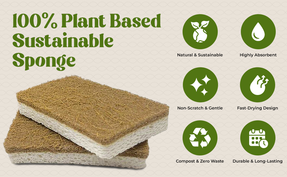 kitchen sponges plant based sponges kitchen sponge sponge cellulose sponge sponge dish
