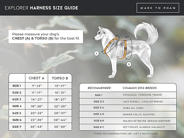 Explorer Harness Size Guide