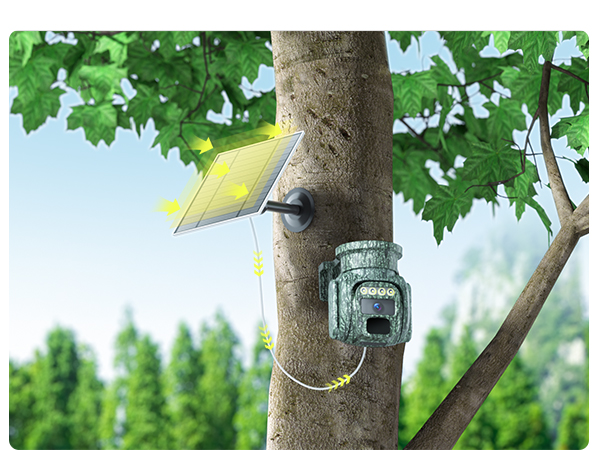 solar panel attached to a tree