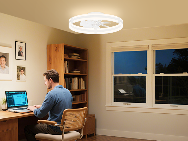 ceiling fan with light for Home office