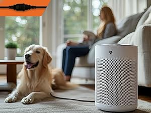 Application of power extension cord in home humidifier