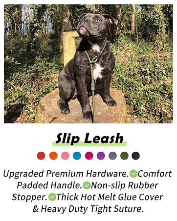 Slip Leash