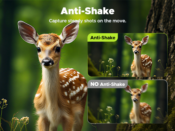 Night Vision Goggles