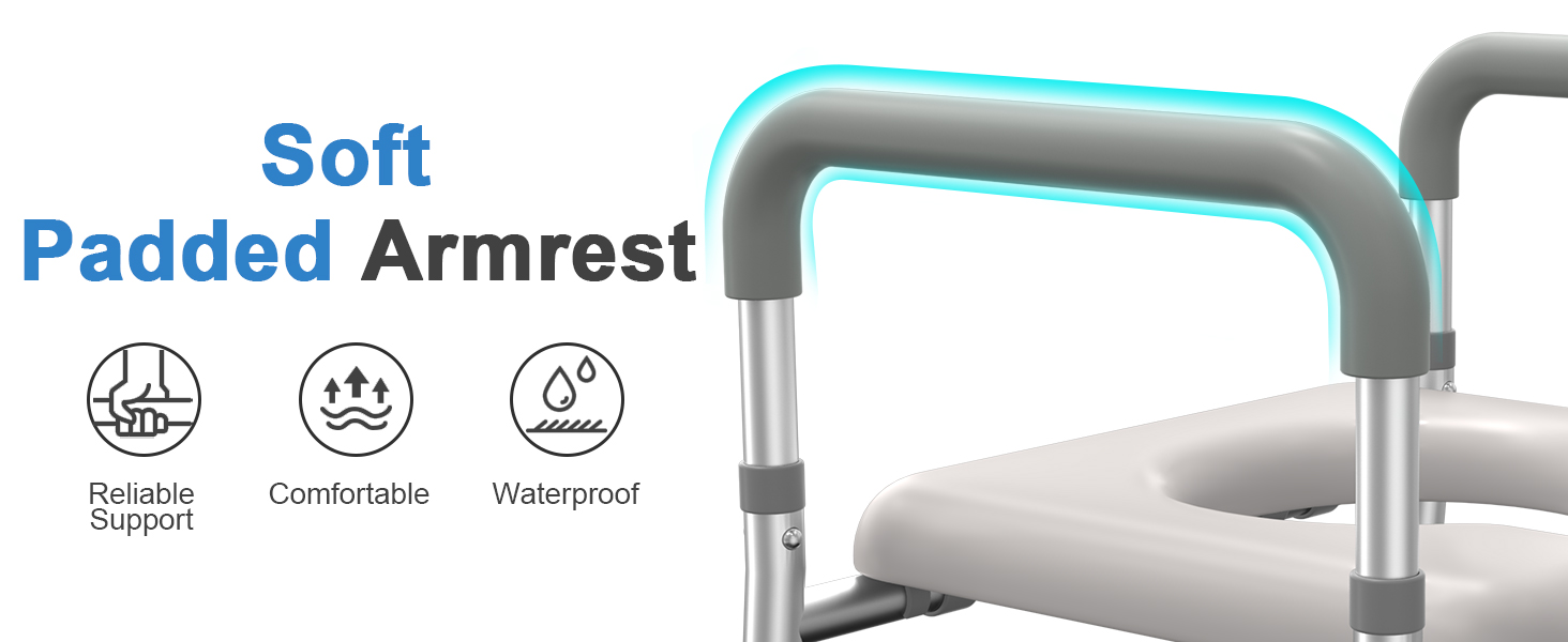 raised toilet seat