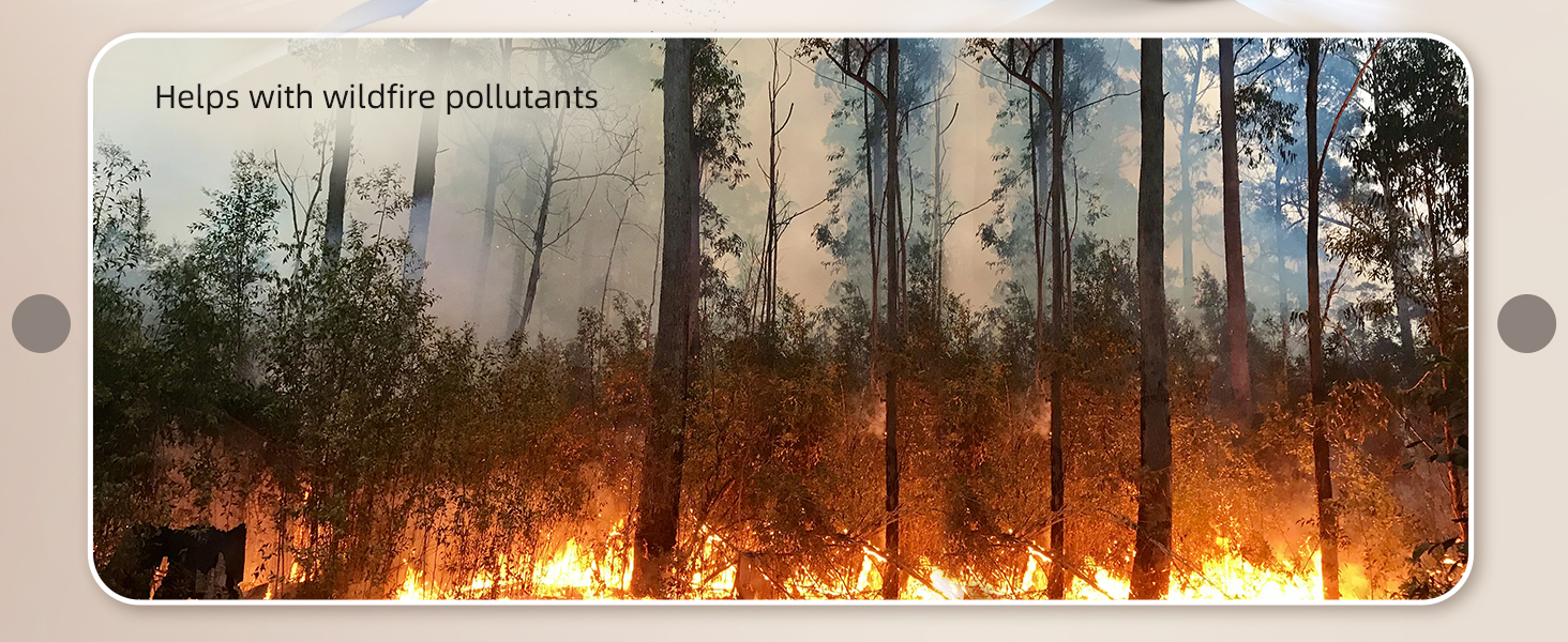 Air Purifier for Wildfire Smoke