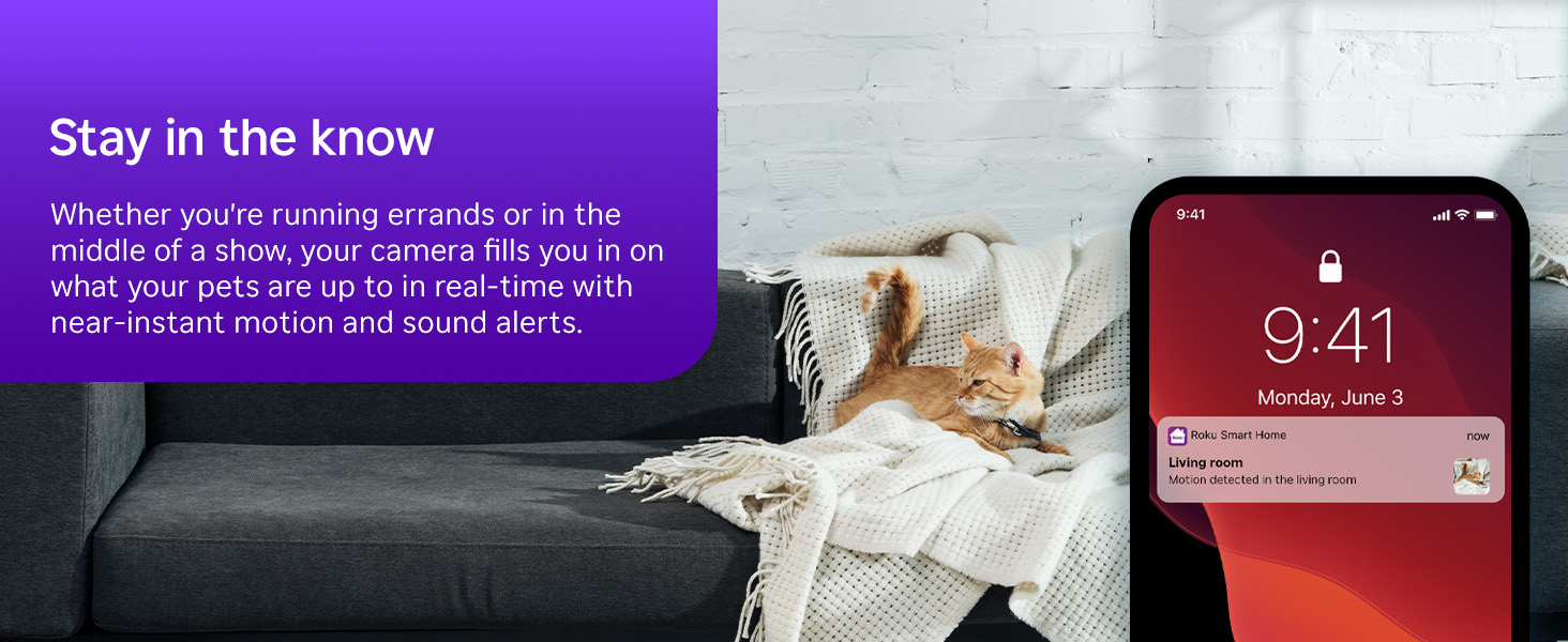 PRIORITY Roku: Indoor &amp;amp;amp; Outdoor Cameras