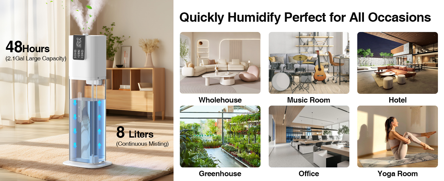 plant humidifier indoor