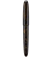 Asvine C80 Fountain Pen #8 Medium Nib Large Handcraft Pen with Converter Pen Box Collection Set (...