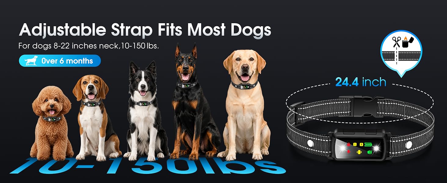 Dog Shock Collar 2 Dogs, training collar with remote