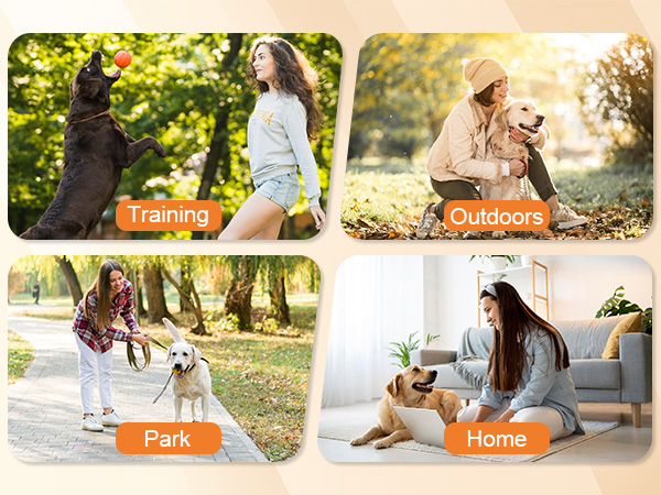 dog whistle to stop barking neighbors dog, best anti barking device, stop barking dog devices