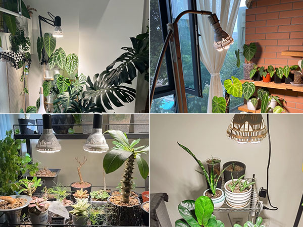 sansi dimmable grow bulb