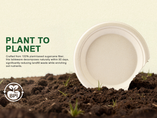 Compostable paper plates round brown