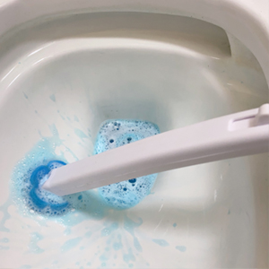 disposable toilet bowl cleaner wand