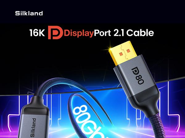 displayport 2.1 80gbps