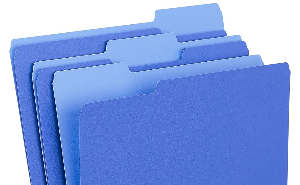 Staples File Folders
