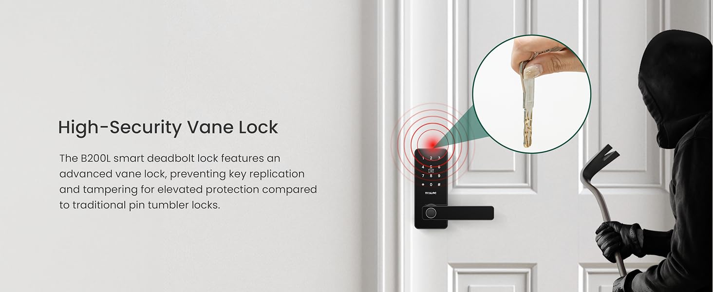 High-Security Vane Lock