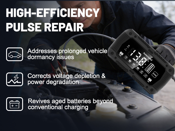 battery charger 12v automotive