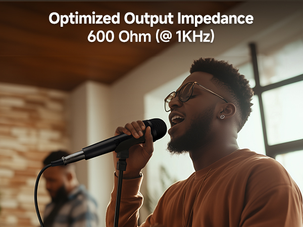 karaoke microphone wired microphone