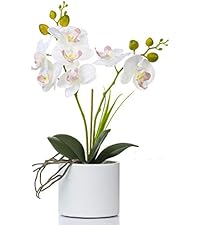 https://m.media-amazon.com/images/S/aplus-media-library-service-media/8568d4d8-9a0e-488c-9209-cff437fa2841.__AC_SR200,225___.jpg