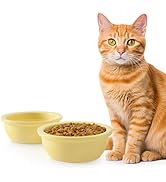 Sunhoo 2PCS Cat Bowls Ceramic Replacement Bowl 360ml Kitten Food and Water Bowl for Indoor Cats P...