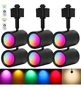 geenaes RGBW LED Track Lighting Heads, H Type Track Lights Color Changing with Remote, 16 Colors ...