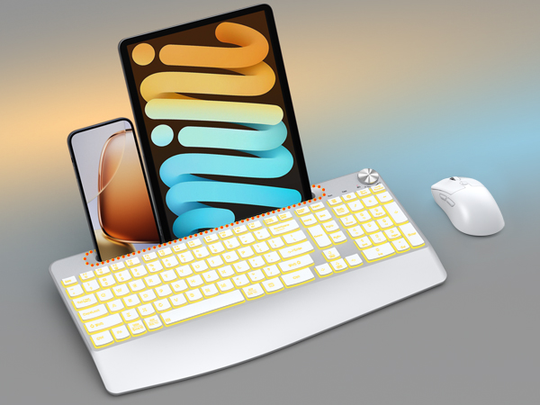 DEVICE HOLDER