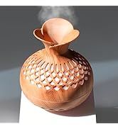 Mini Humidifier for Desk Bedroom Indoor Plant, 300ml Aromatherapy Diffuser Humidifier for Office ...