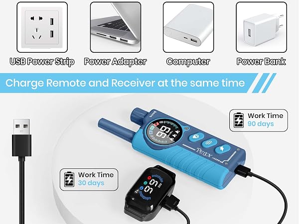 dog training collar with remote