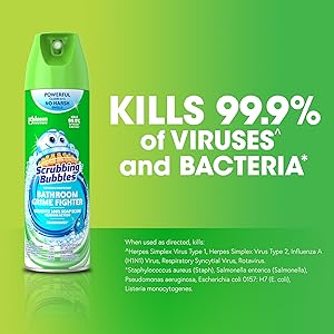 bacteria