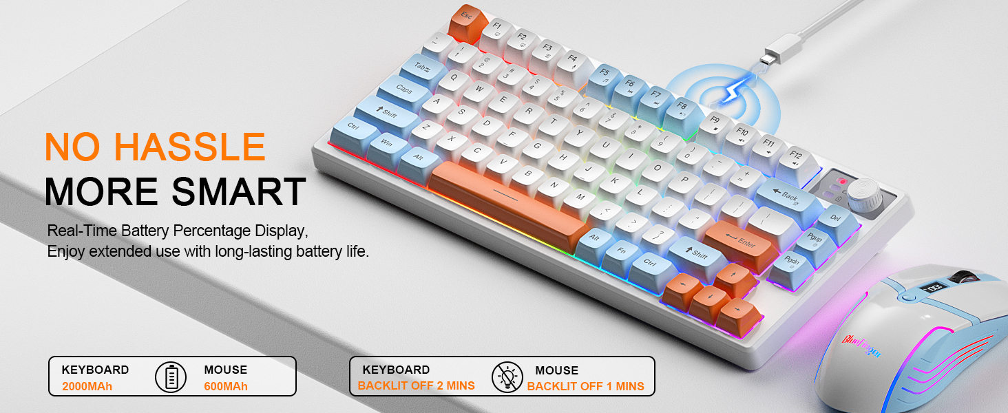 Rechargeable Keyboard and mouse