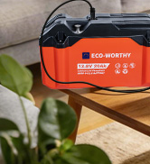 ECO-WORTHY Portable 12V Lithium Battery, 20Ah LiFePO4 Deep Cycle Rechargeable Battery, Built-in B...