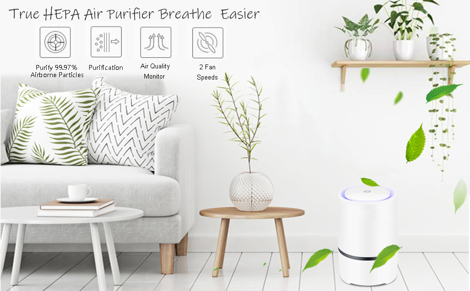 air purifiers