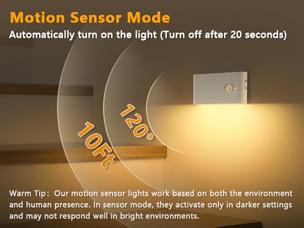 motion sensor light