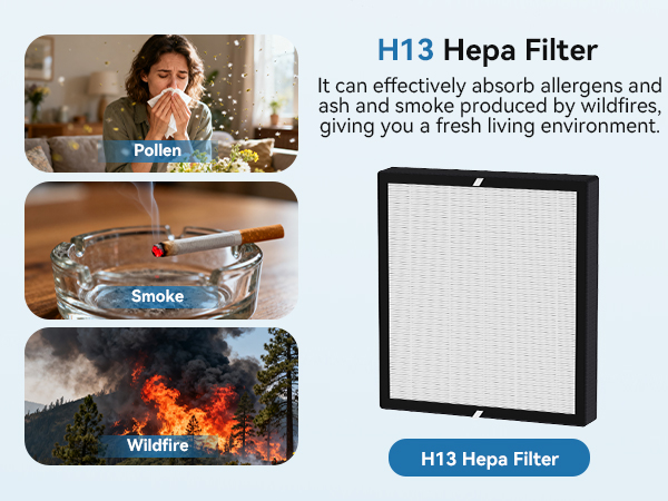 air purifiers