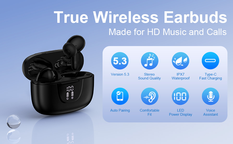 True Wireless Earbuds